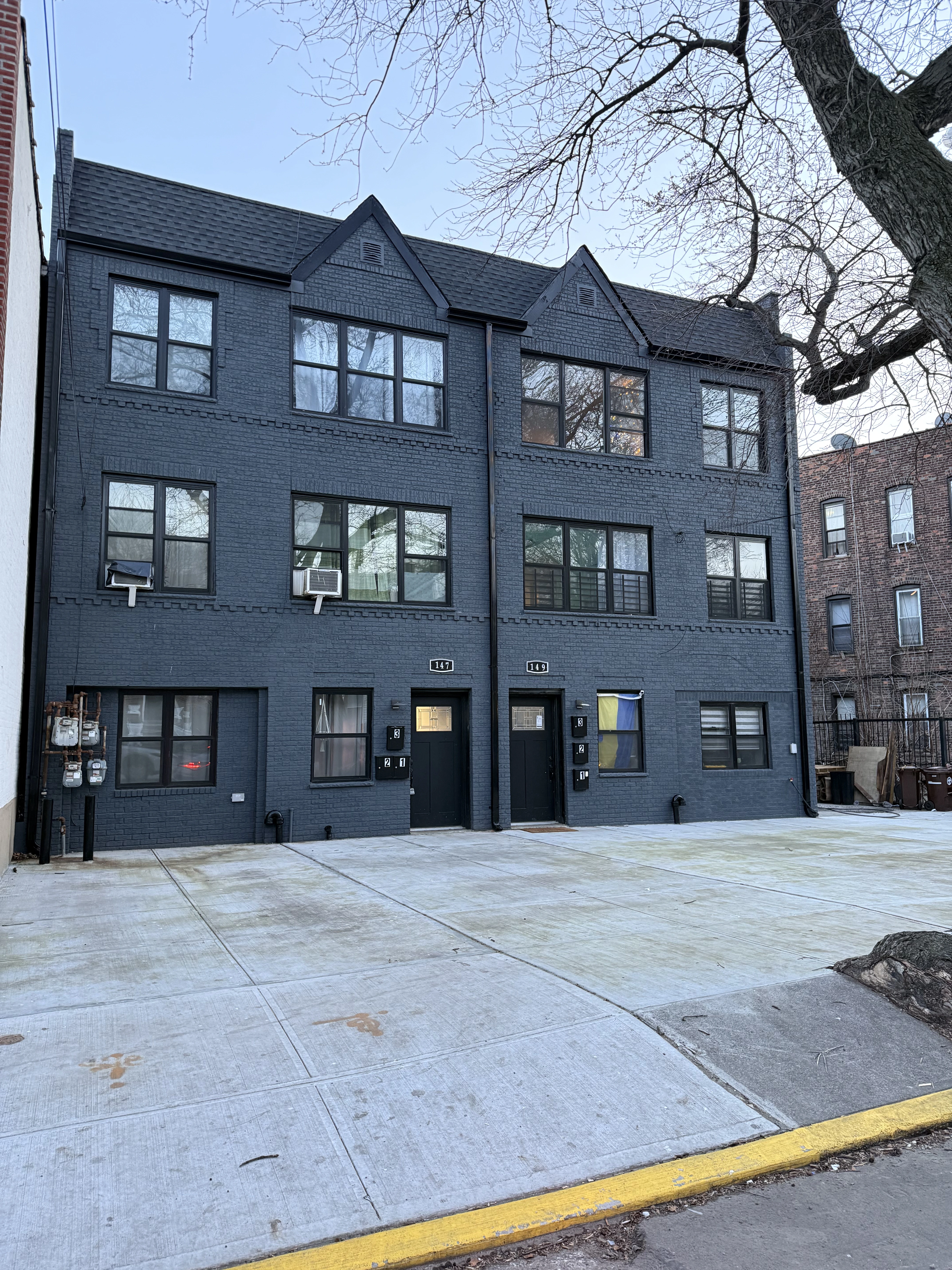 147 Tehema Street property